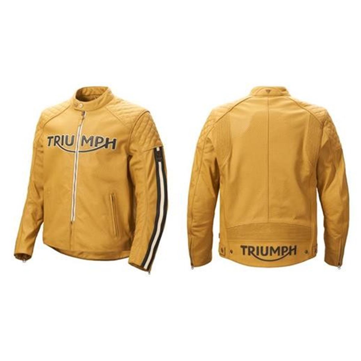 Bild von BRADDAN AIR RACE JACKET - GOLD