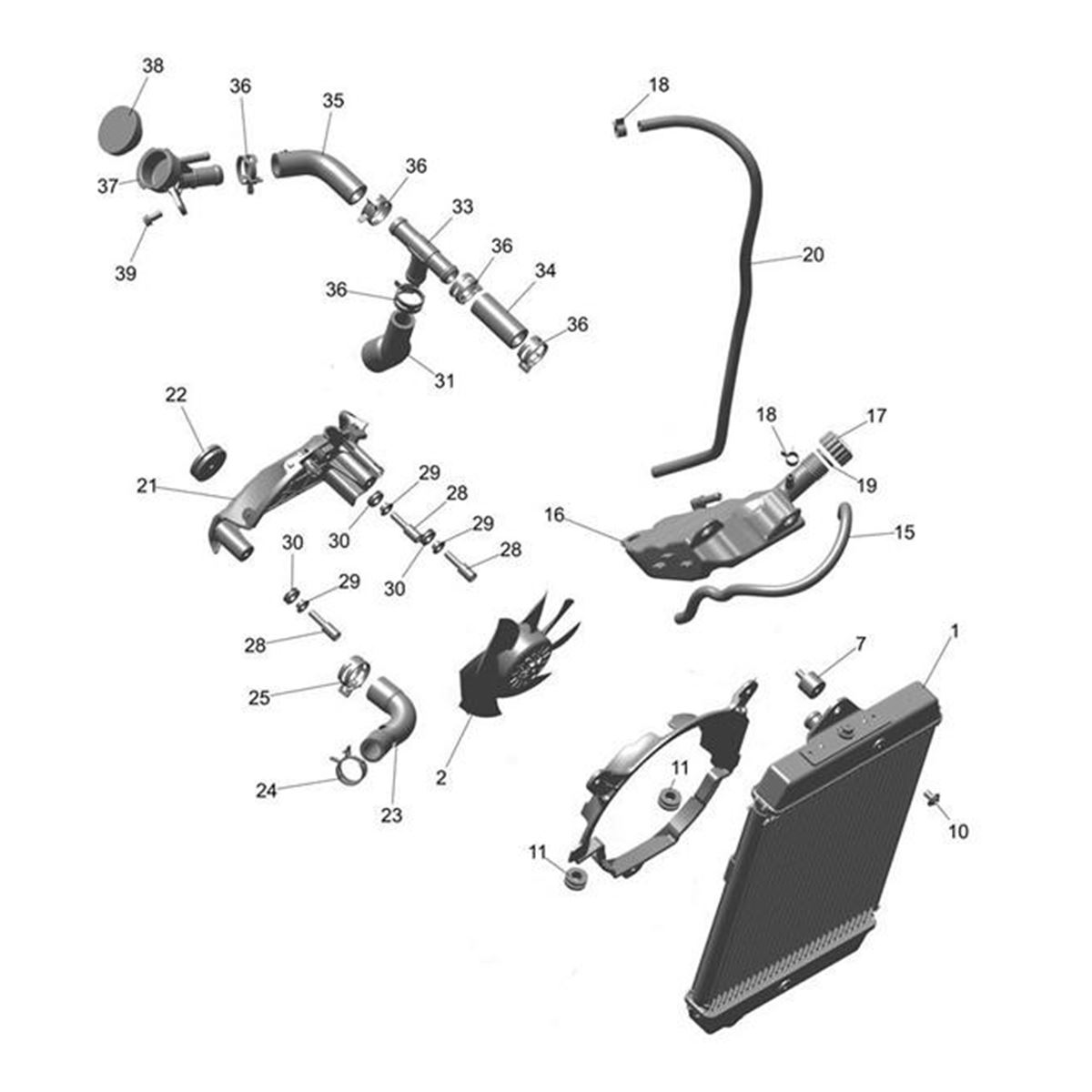 Bild von Bolt, Socket, M6 x 1