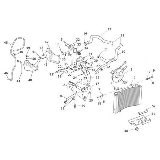 Bild von Bracket, Radiator, Lower, Front