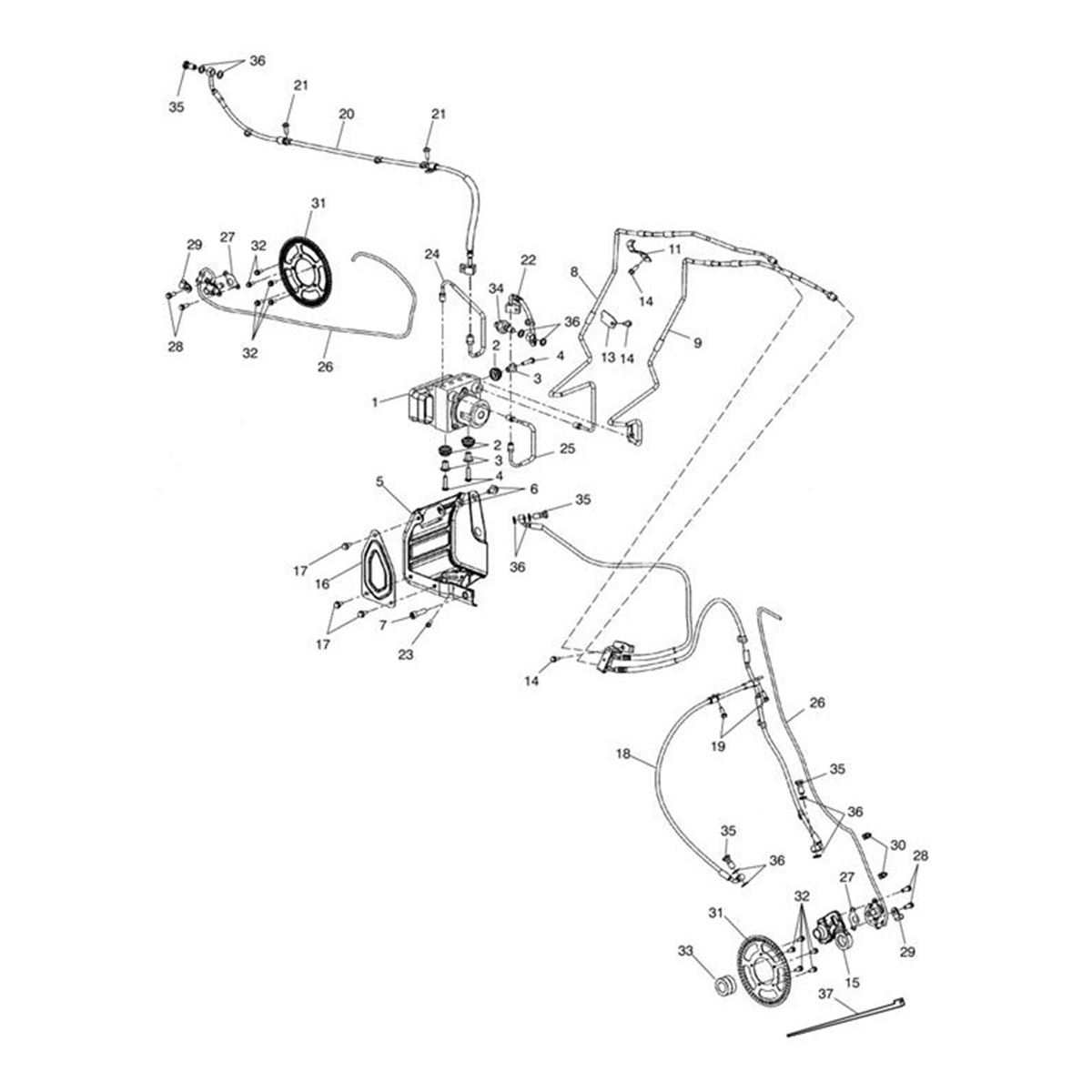 Bild von Brake Hose, Front
