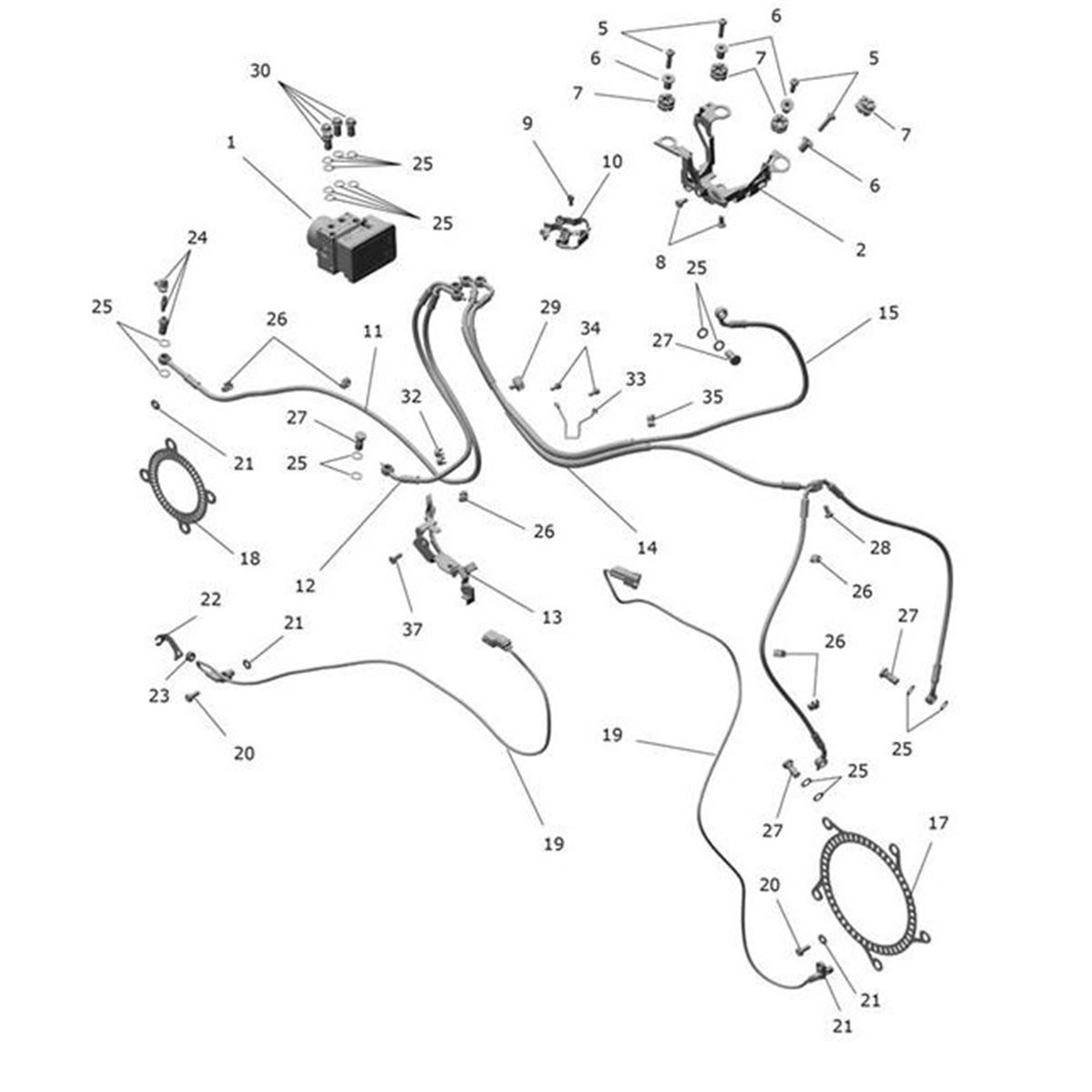 Bild von Brake Line, Front Caliper