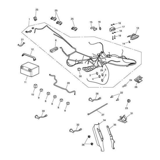 Bild von Clip, Harness, Adhesive