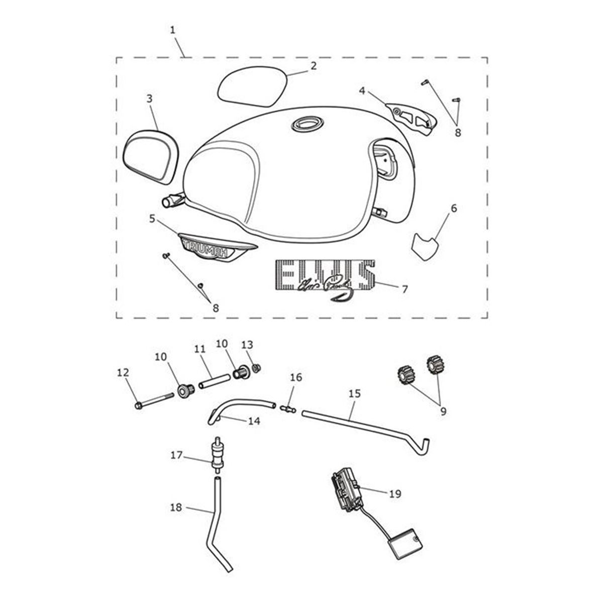 Bild von Decal, Fuel Tank, Aurum Gold/Aluminium Slv