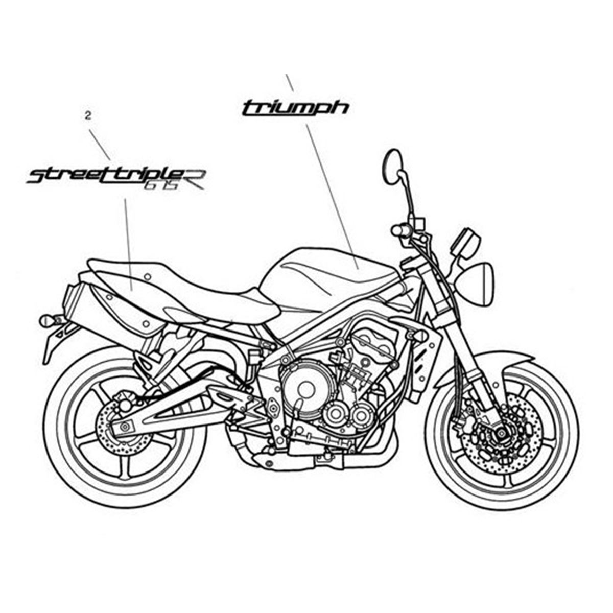 Bild von Decal, Rear Panel, Gold