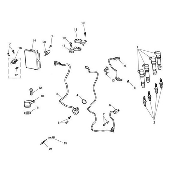 Bild von ECM Base