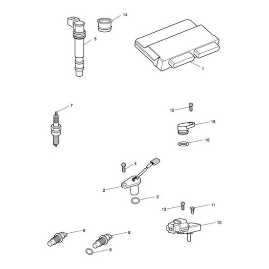 Bild von ECM Base