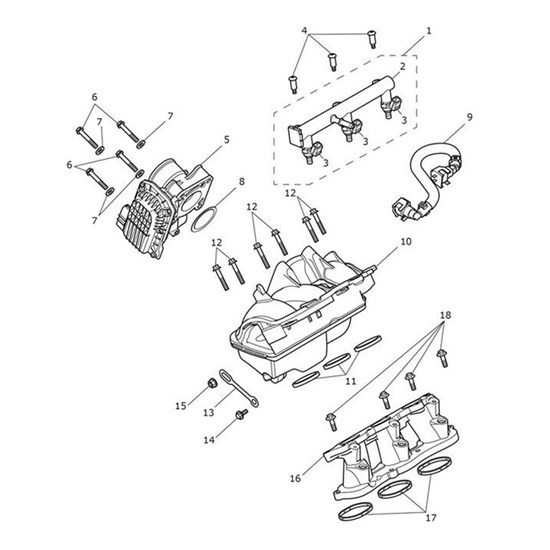 Bild von Fuel Hose Assembly