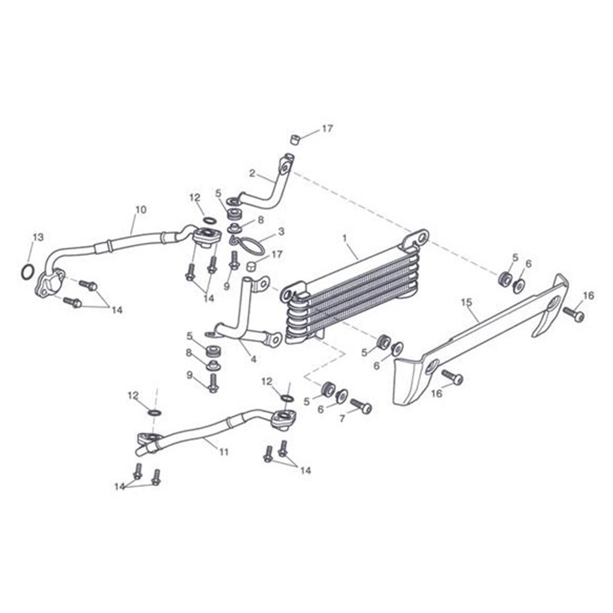 Bild von HALTER LINKS OELKUEHLER