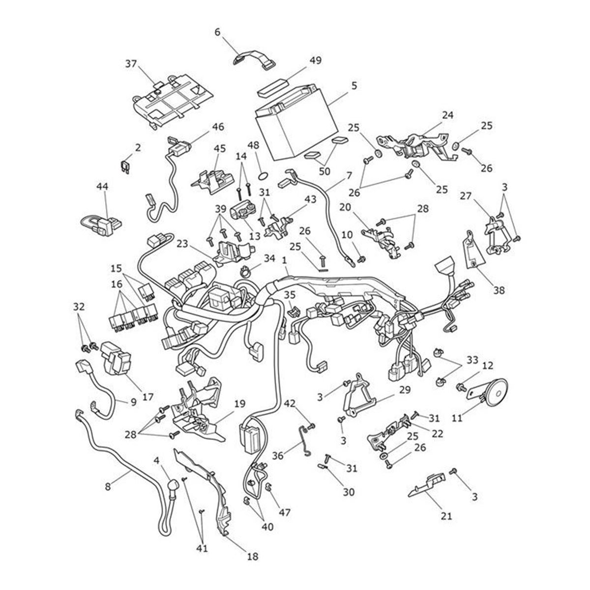 Bild von Harness & Stator Kit