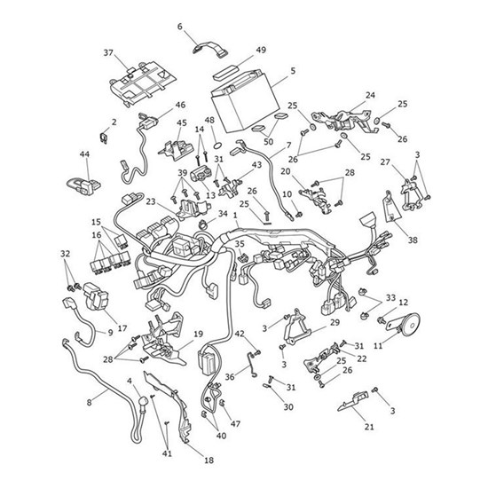 Bild von Harness & Stator Kit