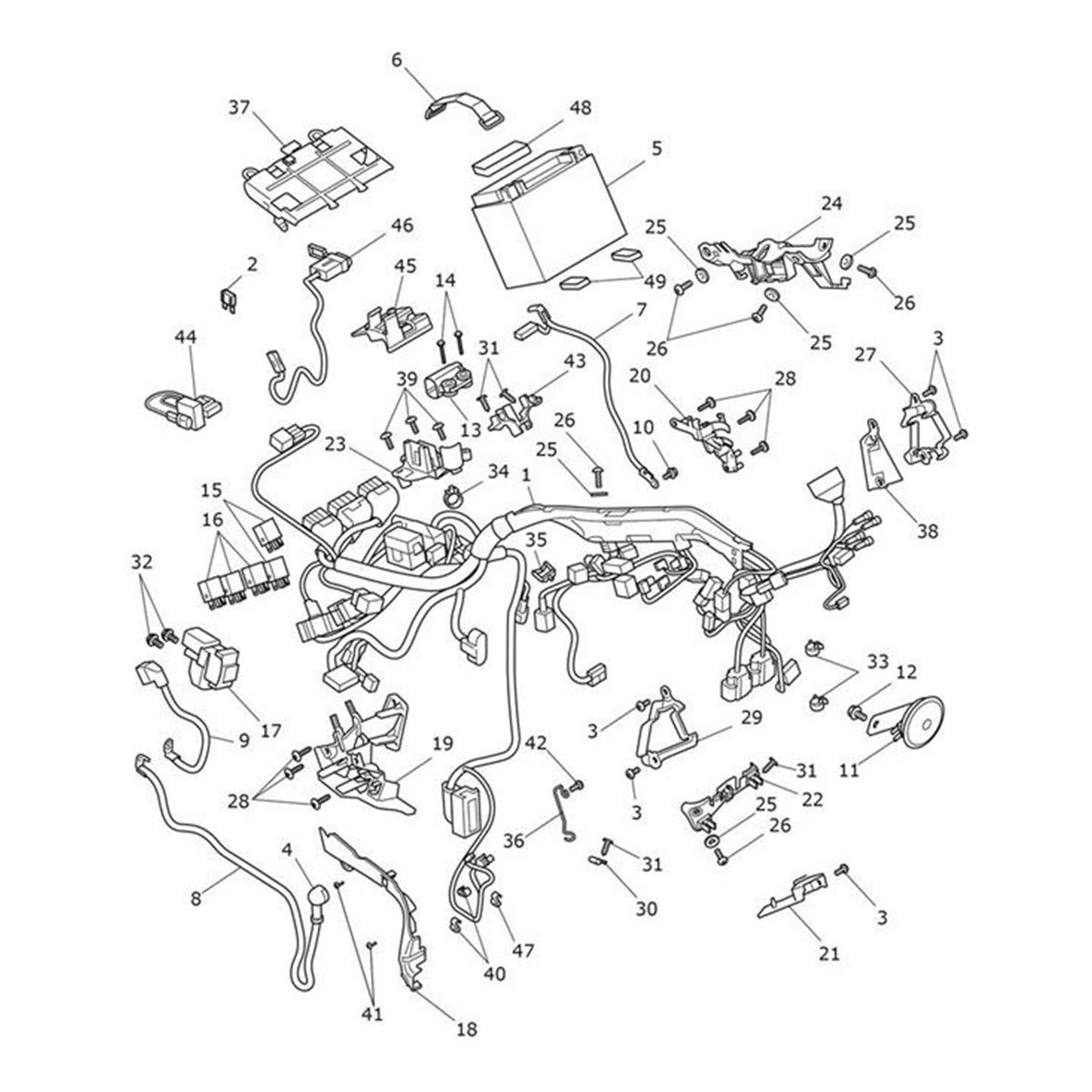 Bild von Harness & Stator Kit