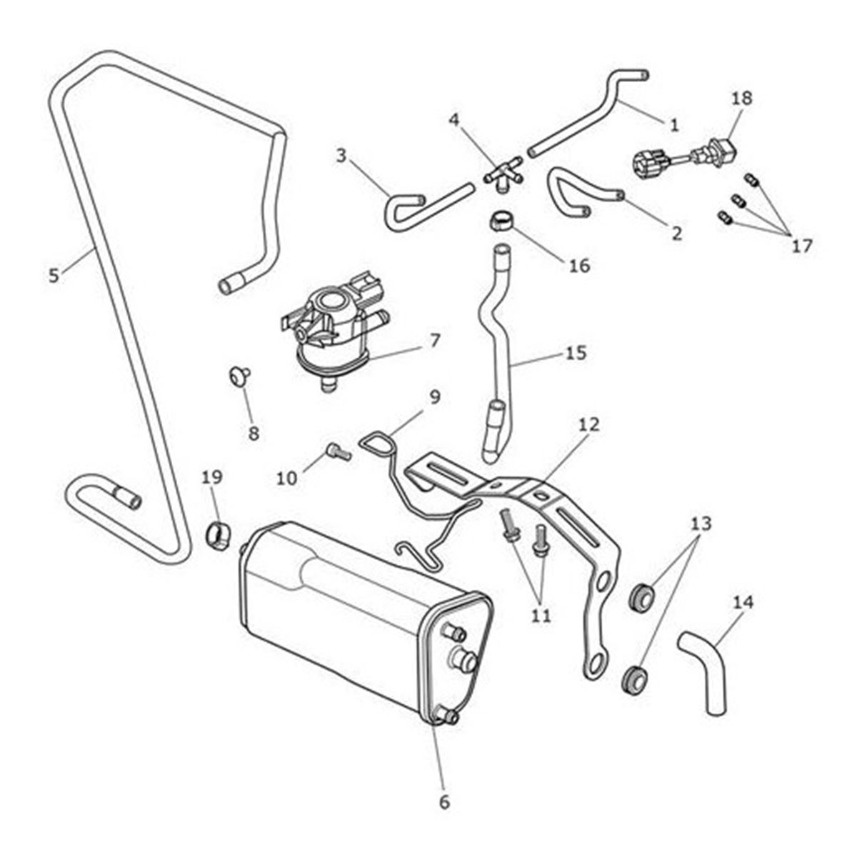 Bild von Hose, Evap Cannister