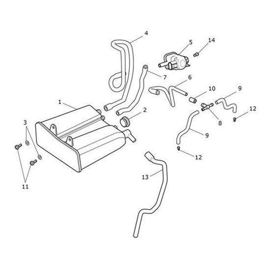 Bild von Hose, Solenoid to Throttle Body