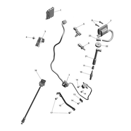 Bild von Ignition Coil Assembly