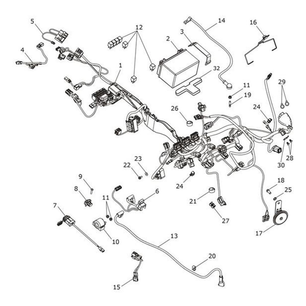 Bild von Main Harness, Type II