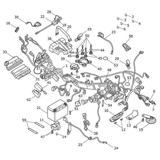 Picture of Main Harness