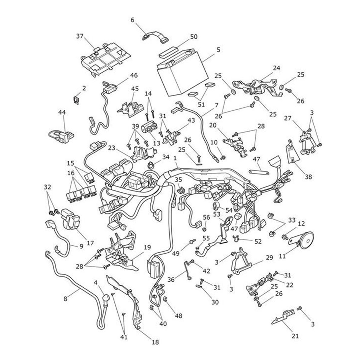 Picture of Main Harness