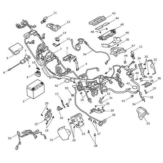 Bild von Main Harness